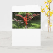 Gladioli, Karte (Gelbe Blume)