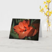 Gladioli, Karte (Gelbe Blume)