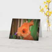Gladioli, Karte (Gelbe Blume)
