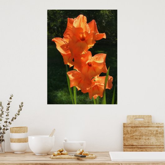 Gladioli Poster (Küche)