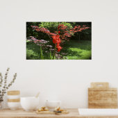 Gladioli Poster (Küche)