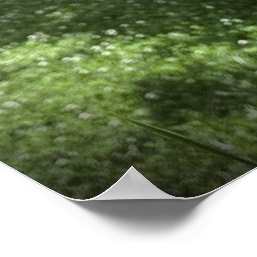 Gladioli Poster (Ecke)