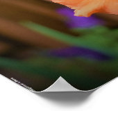 Gladioli Poster (Ecke)