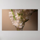 Gladioli, Poster (Vorne)