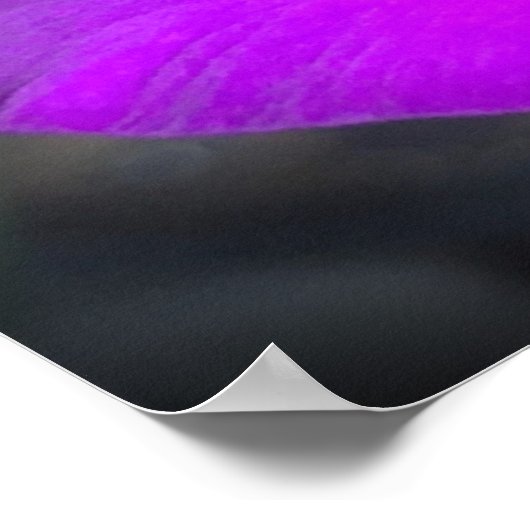 Gladioli Poster (Ecke)