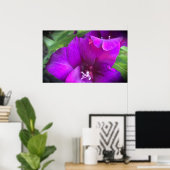 Gladioli Poster (Heimbüro)