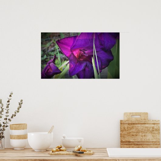 Gladioli Poster (Küche)