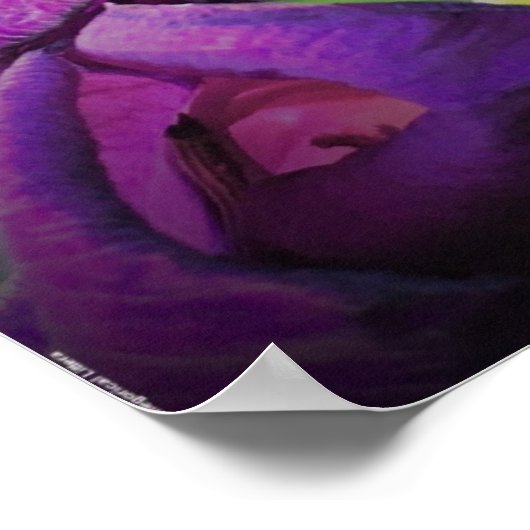 Gladioli Poster (Ecke)