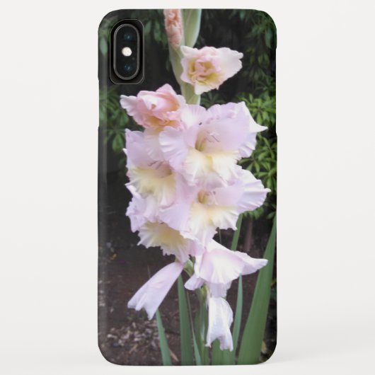 Gladiolus Blume iPhone Case (Rückseite)
