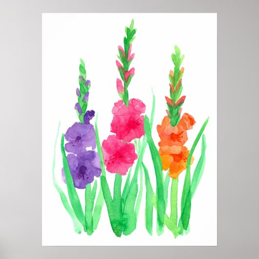 Gladiolus Blume Lila Rosa Orange Wasserfarbe Poster (Vorne)