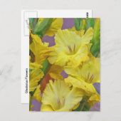 Gladiolus Blume Postcard Postkarte (Vorne/Hinten)