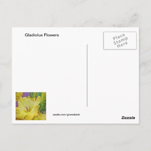 Gladiolus Blume Postcard Postkarte (Rückseite)