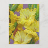 Gladiolus Blume Postcard Postkarte (Vorderseite)