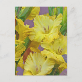Gladiolus Blume Postcard Postkarte