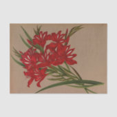 Gladiolus Cardinalis von Arentina Hendrica Arendse Seidenpapier (Vorderseite)