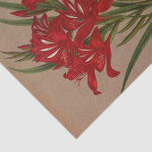 Gladiolus Cardinalis von Arentina Hendrica Arendse Seidenpapier (Ausschnitt)