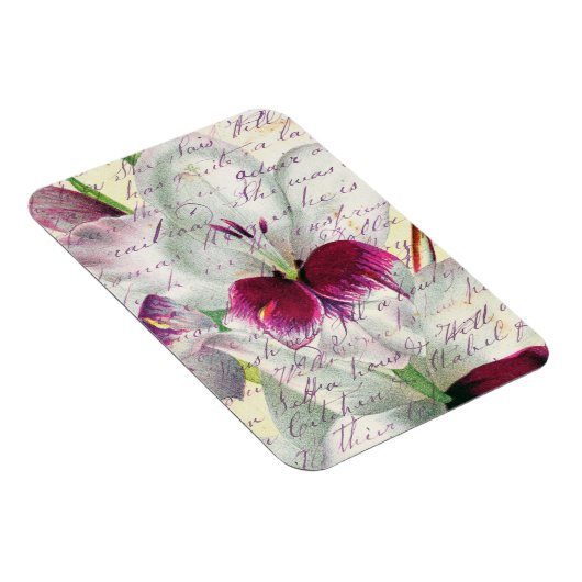 Gladiolus-Kunstkalligraphie Magnet (Rechte Seite)