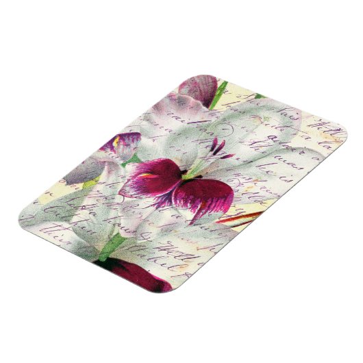 Gladiolus-Kunstkalligraphie Magnet (Linke Seite)