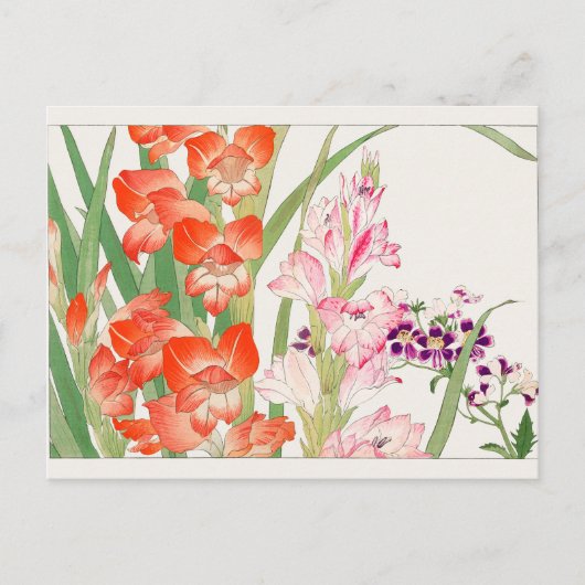 Gladiolus, Schizanthus, von Tanigami Konan Postkarte (Vorderseite)