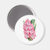 Gladiolus Ulysse Magnet (Vorderseite/Rückseite)