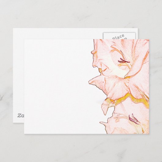 Gladiolusskizze Postkarte (Vorne/Hinten)