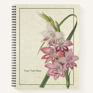 Glaielus Truffaut Notizblock