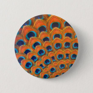 Glam Boho Orange Blue Peacock Feathers Button