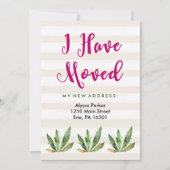 Glam Cactus | Wüstenstreifen Änderung der Anschrif Ankündigung (Vorderseite)