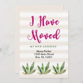 Glam Cactus | Wüstenstreifen Änderung der Anschrif Ankündigung (Vorne/Hinten)