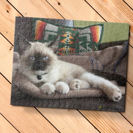 Glamour Blue Mit Augen Siamese Kitten Fotografie Puzzle