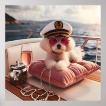 Glamour Mode Luxus Lifestyle Foto