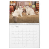 Glamour Ragdoll Kittens Kalender (Mär 2026)