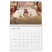 Glamour Ragdoll Kittens Kalender (Mär 2027)