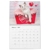 Glamour Ragdoll Kittens Kalender (Feb 2027)