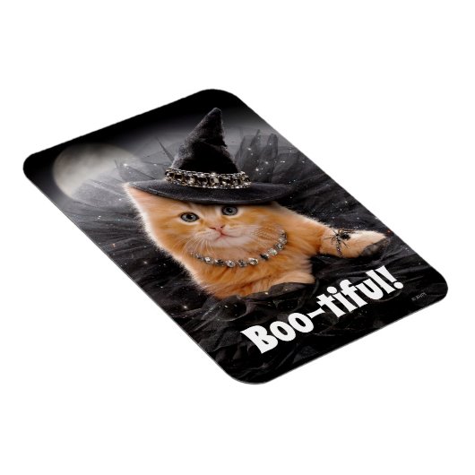 Glamour Witte Kitten Magnet (Rechte Seite)