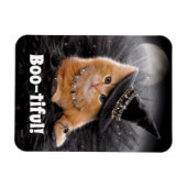 Glamour Witte Kitten Magnet (Horizontal)