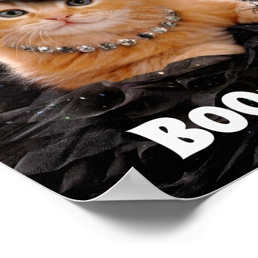 Glamour Witte Kitten Poster (Ecke)