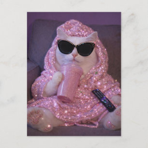 Glamouröse faule Katze in Sonnenbrille mit funk Postkarte