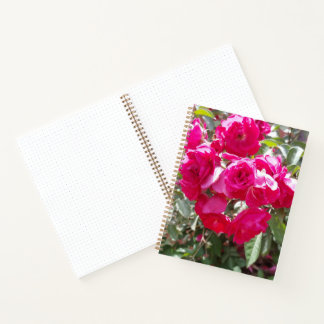 Glamouröses Rosen Bullet Journal Notizblock