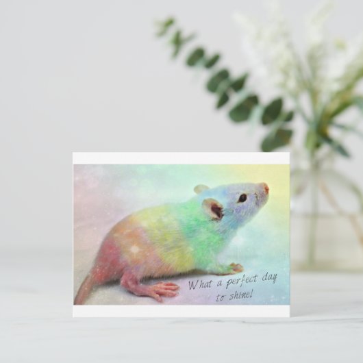 Glanz an! postkarte (Stehend Vorderseite)