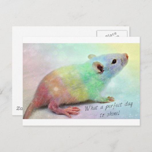 Glanz an! postkarte (Vorne/Hinten)