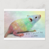 Glanz an! postkarte (Vorderseite)