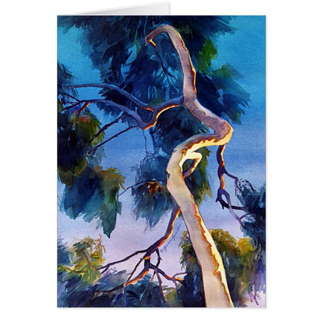 "Glanz auf " (Vorne)