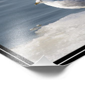 Glanz auf Eis Fotodruck (Ecke)