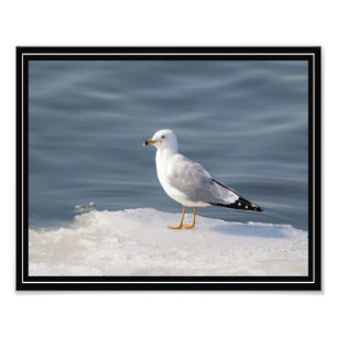 Glanz auf Eis Fotodruck