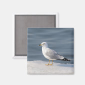 Glanz auf Eis Magnet (Vorderseite/Rückseite)