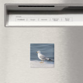 Glanz auf Eis Magnet (In Situ (Geschirrspüler))