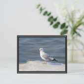 Glanz auf Eis Postkarte (Stehend Vorderseite)