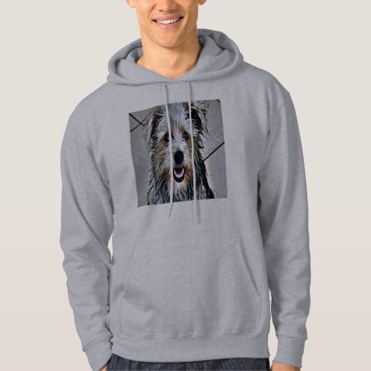 Glanz des Imaal Terrier Hoodie (Vorderseite)