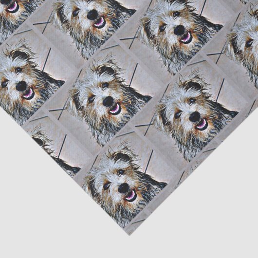 Glanz des Imaal Terrier Seidenpapier (Ausschnitt)